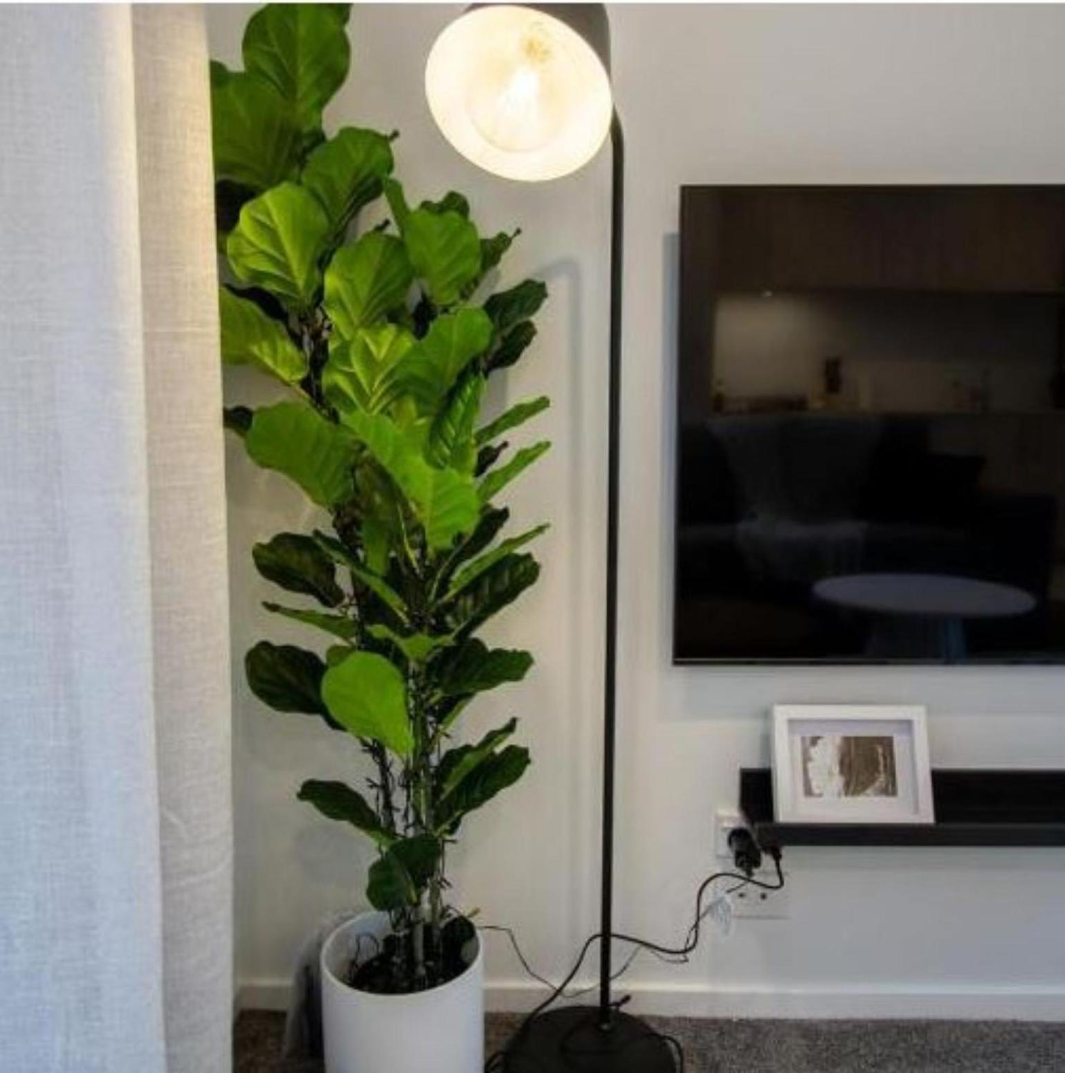 A Touch Of Luxury In Chch Cbd Apartment Christchurch Ngoại thất bức ảnh